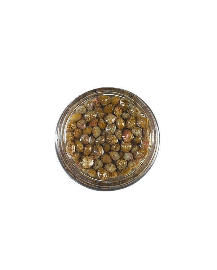 Capers in wine vinegar