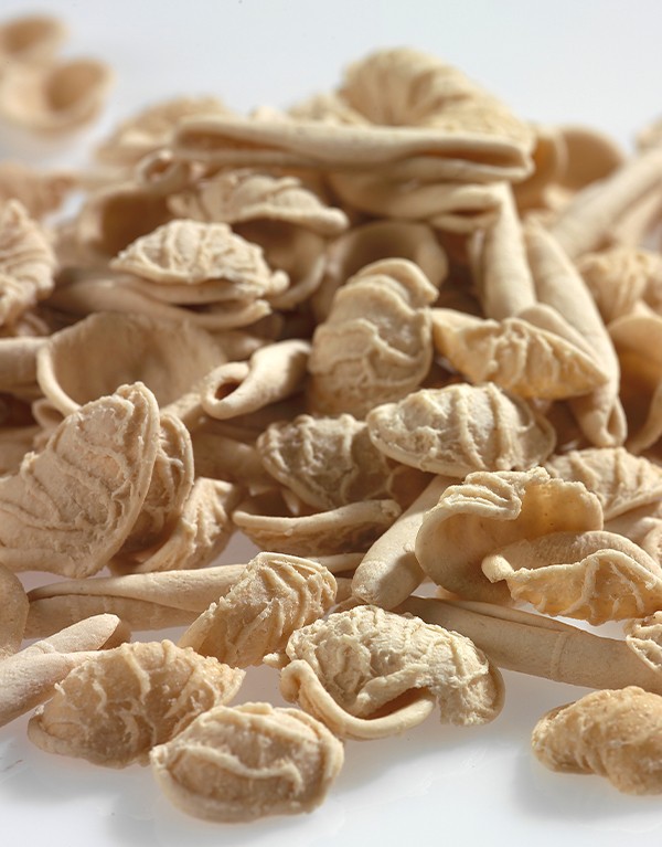 Mix Orecchiette e Maccheroni grano duro "Senatore Cappelli"
