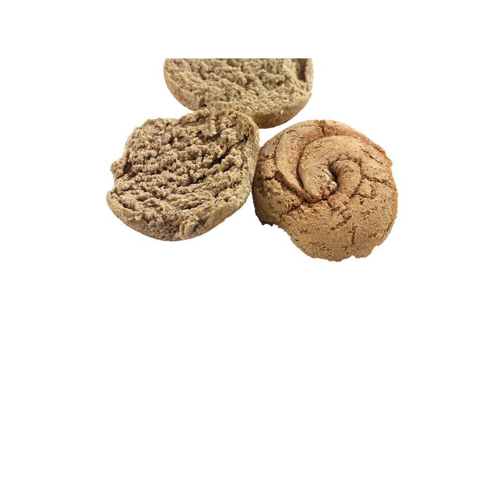 Frisa di orzo
