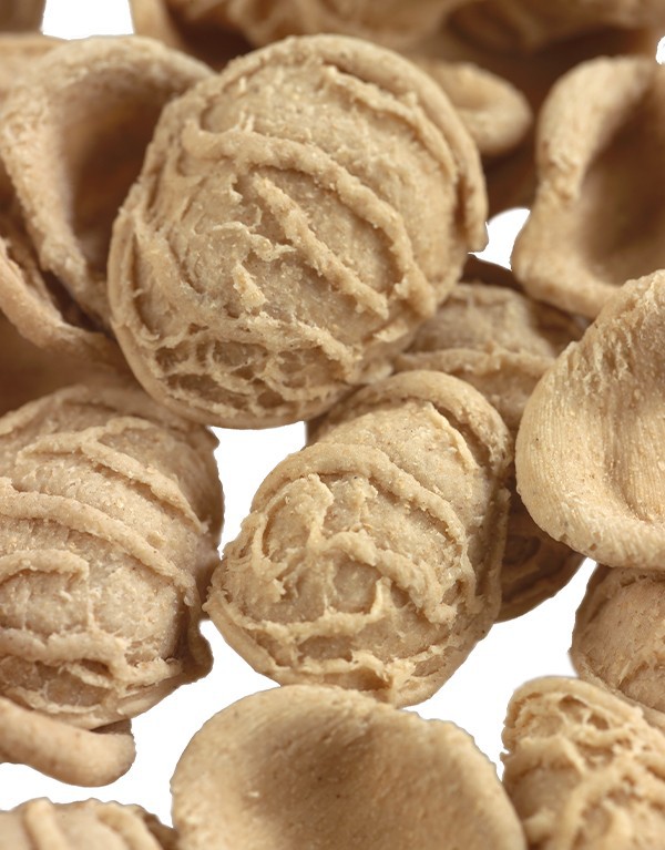 Orecchiette di grano arso “Senatore Cappelli”