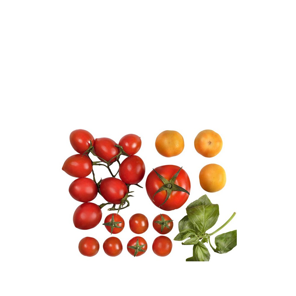 Sugo di pomodori "invernali"