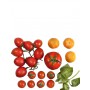 Sugo Pomodoro & Basilico