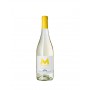 Malvasia Bianca Salento IGP (6 bottiglie)